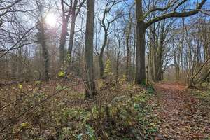1 von 4: bezugsfertige Neubau - Doppelhaushälfte in Kayhude: Wohnen am Wald mit Alsterlauf  – Die vollständige Adresse der Immobilie erhältst du vom Anbieter., 23863 Kayhude – Vorschaubild 4