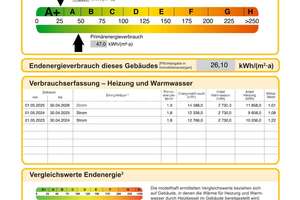 Gepflegtes Wohn- und Geschäftshaus mit Arztpraxis, Einliegerwohnung und großem Grundstück – Die vollständige Adresse der Immobilie erhältst du vom Anbieter., 84508 Burgkirchen an der Alz – Vorschaubild 17