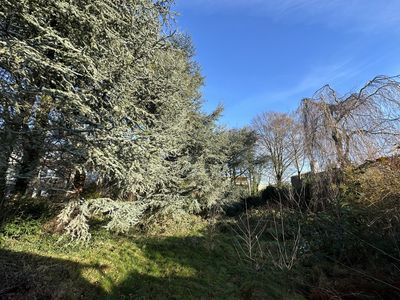 Wohnwert der besonderen Art: Südterrasse und kleiner Garten