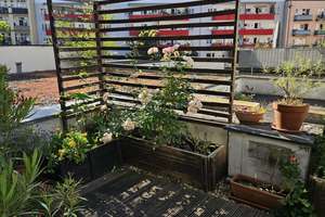 Lebendiges Stadtleben: 2,5-Zimmer-Wohnung in Köln mit Traumterrasse – Die vollständige Adresse der Immobilie erhältst du vom Anbieter., 50677 Neustadt/Süd, Köln – Vorschaubild 2