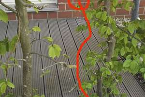 3-Zimmer EG-Wohnung, SW-Terrasse – Ellen-Scheuner-Weg 6, 48147 Rumphorst, Münster – Vorschaubild 42
