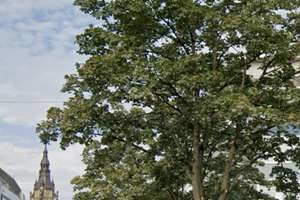 Helle und hochwertig saniert 3,5 Zim.-Whg. mit 6m Balkon an der Hardt (Elberfeld) nähe Stadtzentrum! – Hofkamp 51, 42103 Elberfeld, Wuppertal – Vorschaubild 30