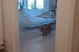 Refugium am Nymphenburger Park, 2-Zimmer  m.  Balkon  u. TG, in Nymphenburg-/Obermenzing Energiekl.A – Die vollständige Adresse der Immobilie erhältst du vom Anbieter., 81247 Obermenzing, München – Vorschaubild 4