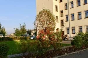 Property thumbnail 5