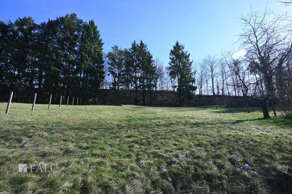 Immobilie in Kreuzwertheim - Wohnen in Bayern mit Viel Grund und Boden ! - Bild 4