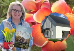 Aktionshaus Springside 1
