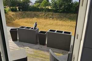 Traumhaus mit Garten – Rhein-Erft-Kreis – Vorschaubild 9