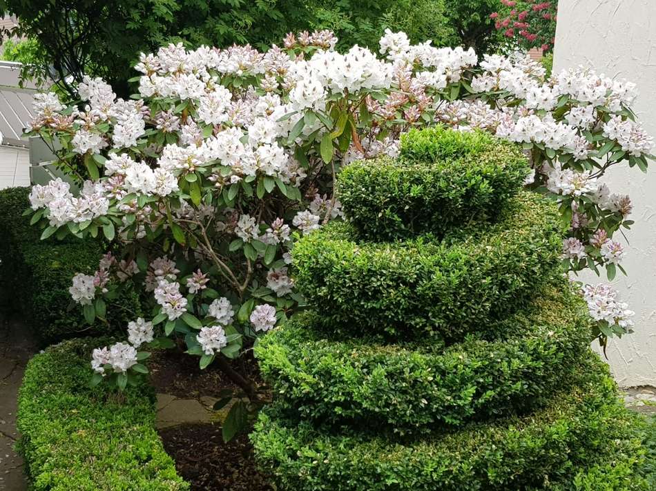 Garten Aufgang