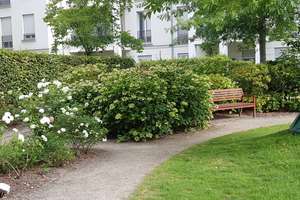 Luxuriöse 2-Zimmer-Wohnung in den Heinrich-Heine-Gärten – 40549 Heerdt, Düsseldorf – Vorschaubild 17