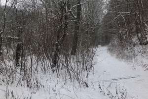 Einfamilienhaus mit großem Grundstück und Wald, mit angrenzendem Bachlauf – Die vollständige Adresse der Immobilie erhältst du vom Anbieter., 6647 Klosterhäseler – Vorschaubild 31