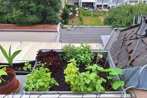 Perfekte Lage: Helle, zentrale & ruhige Wohnung mit Balkon ab 22.07 – Schreberstraße 14B, 4109 Zentrum-West, Leipzig – Vorschaubild 14