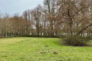 *Reserviert* Altersgerecht und barrierearm: Ebenerdige Wohnung in Wassernähe – Die vollständige Adresse der Immobilie erhältst du vom Anbieter., 14476 Groß Glienicke, Potsdam – Vorschaubild 4