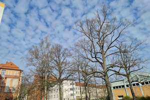 Sonne pur*4. OG mit Ausblick*Tolles Apartment in Schmargendorf* S-O-Balkon, Lift, Deckenhöhe über 3m – Die vollständige Adresse der Immobilie erhältst du vom Anbieter., 14199 Schmargendorf, Berlin – Vorschaubild 30