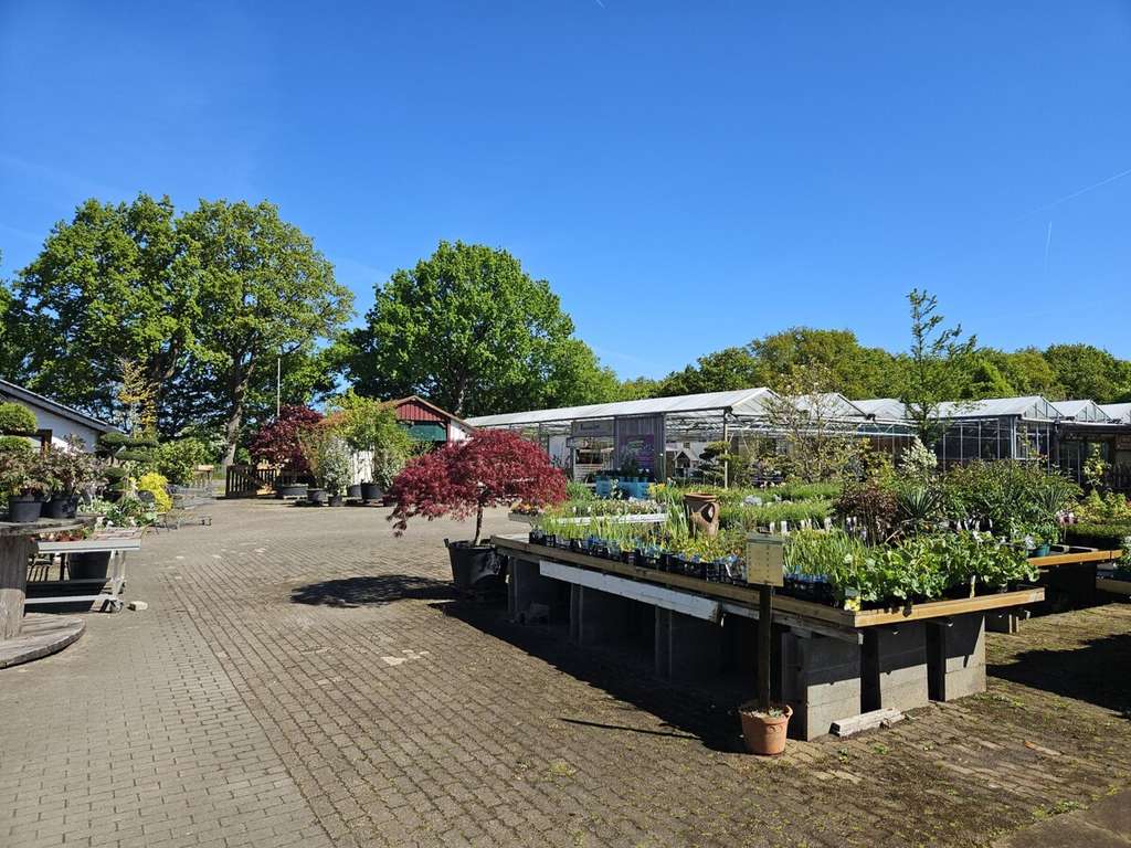 Immobilie in Meyn - Platz für Ihre Ideen! - Bild 2