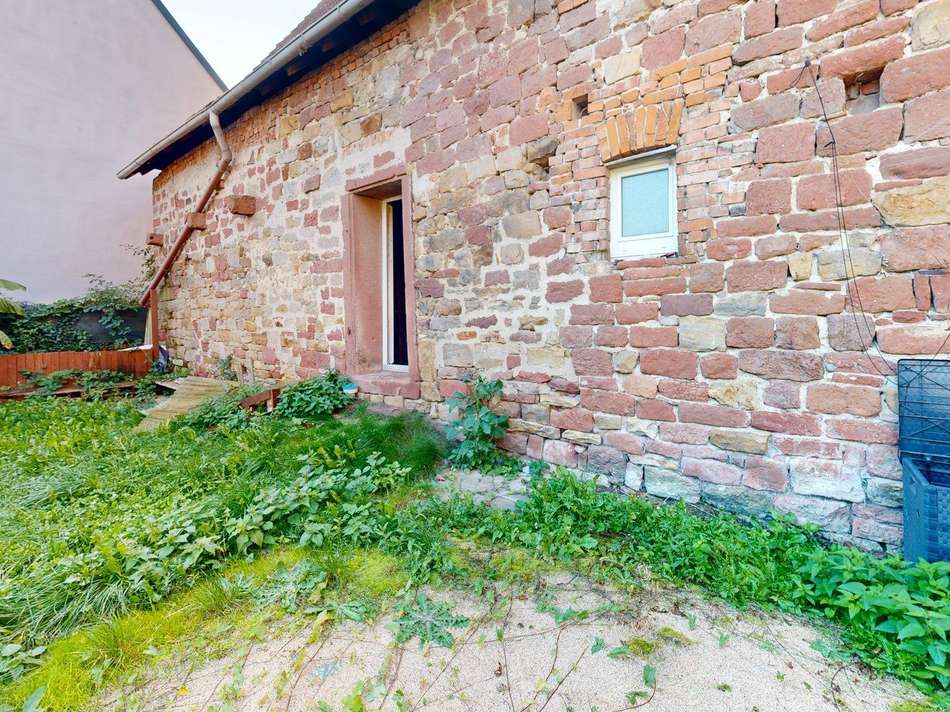 Garten mit Rückansicht Schene