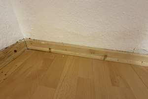In Top Lage: 2 renovierungsbedürftige Wohnungen, 3-Zi. frei, 2 Zi. vermietet – Boskopweg 28, 70329 Rohracker, Stuttgart – Vorschaubild 10