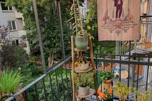 Property thumbnail 12