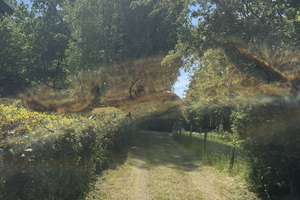 Adventspreis, großzügig. Ganz für sich – kleines Einfa.-Haus mit Bachlauf in bester Lage Wuppertals – Oberdüsseler Weg 54, 42113 Uellendahl-Katernberg, Wuppertal – Vorschaubild 11