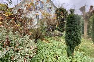 DAS Haus für viele Ideen - Großfamilie , Mehrgenerationenhaus - Wohnen und Vermieten - alles ist mög – Die vollständige Adresse der Immobilie erhältst du vom Anbieter., 34346 Hannoversch Münden – Vorschaubild 13