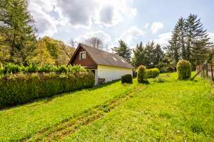 Charaktervolles Einfamilienhaus auf großem Naturgrundstück – Dietlinger Straße 132, 75179 Brötzingen, Pforzheim – Vorschaubild 26