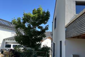 Einfamilienhaus Architektenhaus Ergolding KfW 40 Plus – Käthe-Kollwitz-Ring 15, 84030 Ergolding – Vorschaubild 3