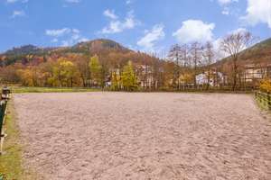 Reitanlage im Schwarzwald auf einem Erbpacht-Grundstück mit zwei Wohneinheiten! – Die vollständige Adresse der Immobilie erhältst du vom Anbieter., 75323 Bad Wildbad – Vorschaubild 10