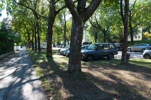 Familienwohnung am Englischen Garten im Alleinauftrag – 80805 Biederstein, München – Vorschaubild 2