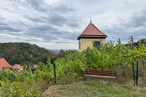 Mehr Radebeul..., Weinberg und Blick geht nicht... – 1445 Radebeul – Vorschaubild 18