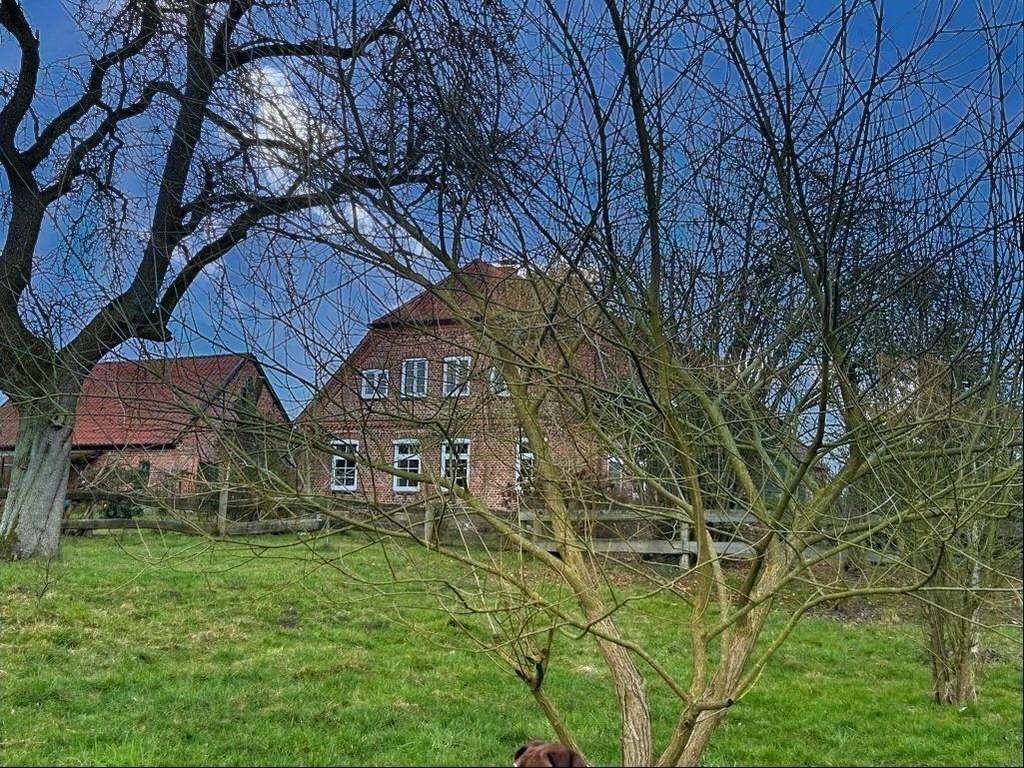 Immobilie in Wittenburg - Idyllischer Bauernhof für Pferdefreunde - Bild 2