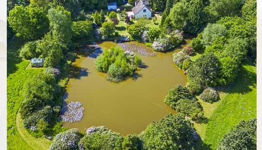 Bild von Mediterranes Landhaus mit Natursee – Ruhe, Stil und Natur pur