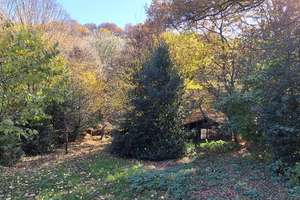 Freistehendes Fachwerkhaus inkl. viel Charme, Ruhe und Traum-Waldblick – Die vollständige Adresse der Immobilie erhältst du vom Anbieter., 42657 Burg/Höhscheid, Solingen – Vorschaubild 13