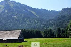 Einzigartiges Naturjuwel in den Allgäuer Alpen – anerkannte Alpe mit Wald- und Weideflächen – Die vollständige Adresse der Immobilie erhältst du vom Anbieter., 87538 Balderschwang – Vorschaubild 8