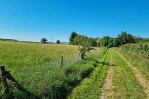 Ehemaliges Bauernanwesen mit diversen Nebengebäuden und riesigem Grundstück! – Die vollständige Adresse der Immobilie erhältst du vom Anbieter., 95488 Eckersdorf – Vorschaubild 11