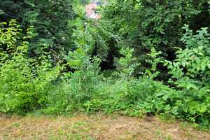 Haus mit Einliegerwohnung – Sofort bezugsfrei!  ...und nur 25 km nach München – Freising (Kreis) – Vorschaubild 29
