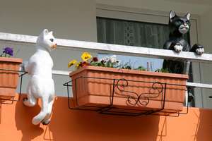 3 Zimmer mit Balkon – Buckower Ring 25, 12683 Biesdorf, Berlin – Vorschaubild 2