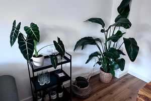 Property thumbnail 17