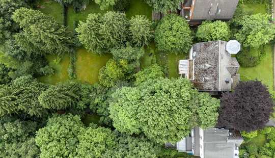 Bild von Ein Rohdiamant im besten Viertel – bereit, wieder zu strahlen!
