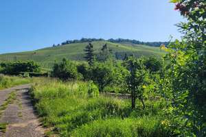 Ruhige Oase am Weinberg: Goldtäleweg in Untertürkheim – Goldtäleweg 11, 70327 Gehrenwald, Stuttgart – Vorschaubild 7