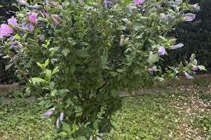 Property thumbnail 55