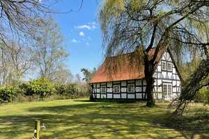 Büro/Praxisräume mit Betreiberwohnung sowie Einfamilienhaus zu verkaufen oder zu vermieten. – Liebenau, Nienburg (Weser) (Kreis), 31618 Nienburg (Weser) (Kreis) – Vorschaubild 12