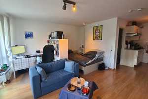 Stilvolle, gepflegte 1-Raum-Wohnung mit gehobener Innenausstattung mit EBK in Karlsruhe – Bettina-von-Arnim-Weg 3, 76135 Karlsruhe – Vorschaubild 6