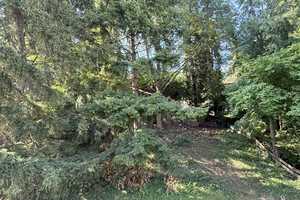 OHNE PROV. | MFH mit 6 Wohnungen | leerstehend | aufgeteilt nach WEG | Ausbaureserve – Freiburg im Breisgau – Vorschaubild 17