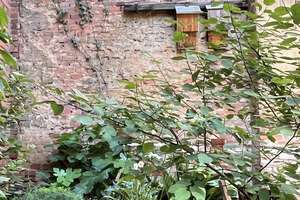 Sehr schöne, helle 2 Zi Whg mit original Massivholzdielen und EBK zu vermieten – Turnstraße 5, 90763 Nördliche Südstadt, Fürth – Vorschaubild 11