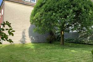DO-Wambel - Nähe Knappschaft KKH -  kersan. 2-Zi KDB - EBK - neues Bad + Holzdielen - Garten !!! – Die vollständige Adresse der Immobilie erhältst du vom Anbieter., 44143 Wambel, Dortmund – Vorschaubild 13