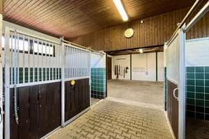 Landleben pur: Einfamilienhaus mit Pferdestallung und 4000 m² Grünland – Die vollständige Adresse der Immobilie erhältst du vom Anbieter., 38154 Königslutter am Elm – Vorschaubild 13