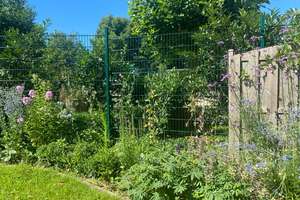 Haus im Grünen ,leben wie auf einer Finca und dennoch in Nähe zur Stadt – Die vollständige Adresse der Immobilie erhältst du vom Anbieter., 45481 Saarn, Mülheim an der Ruhr – Vorschaubild 4