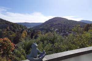 1-Zimmer-Wohnung in Bad Herrenalb mit Balkon und wunderbarem Ausblick – Die vollständige Adresse der Immobilie erhältst du vom Anbieter., 76332 Bad Herrenalb – Vorschaubild 14
