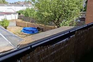 Alltagstaugliche 4-Zimmer-Wohnung in Bottrop – Westring 94, 46242 Stadtmitte, Bottrop – Vorschaubild 6