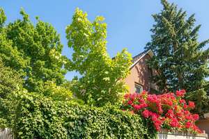 Charmantes Einfamilienhaus mit Wintergarten, Garage und Garten in begehrter Lage von Oldenburg – Osterkampsweg 17, 26131 Eversten, Oldenburg (Oldenburg) – Vorschaubild 5