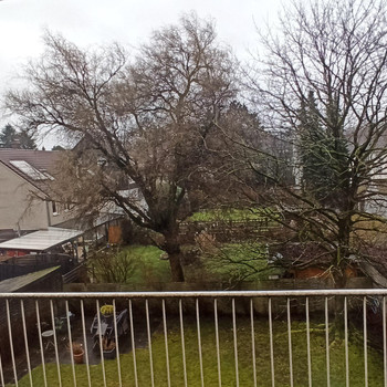 Gepflegte 2-Zimmer-Wohnung mit Balkon im 2. OG in Mülheim-Dümpten